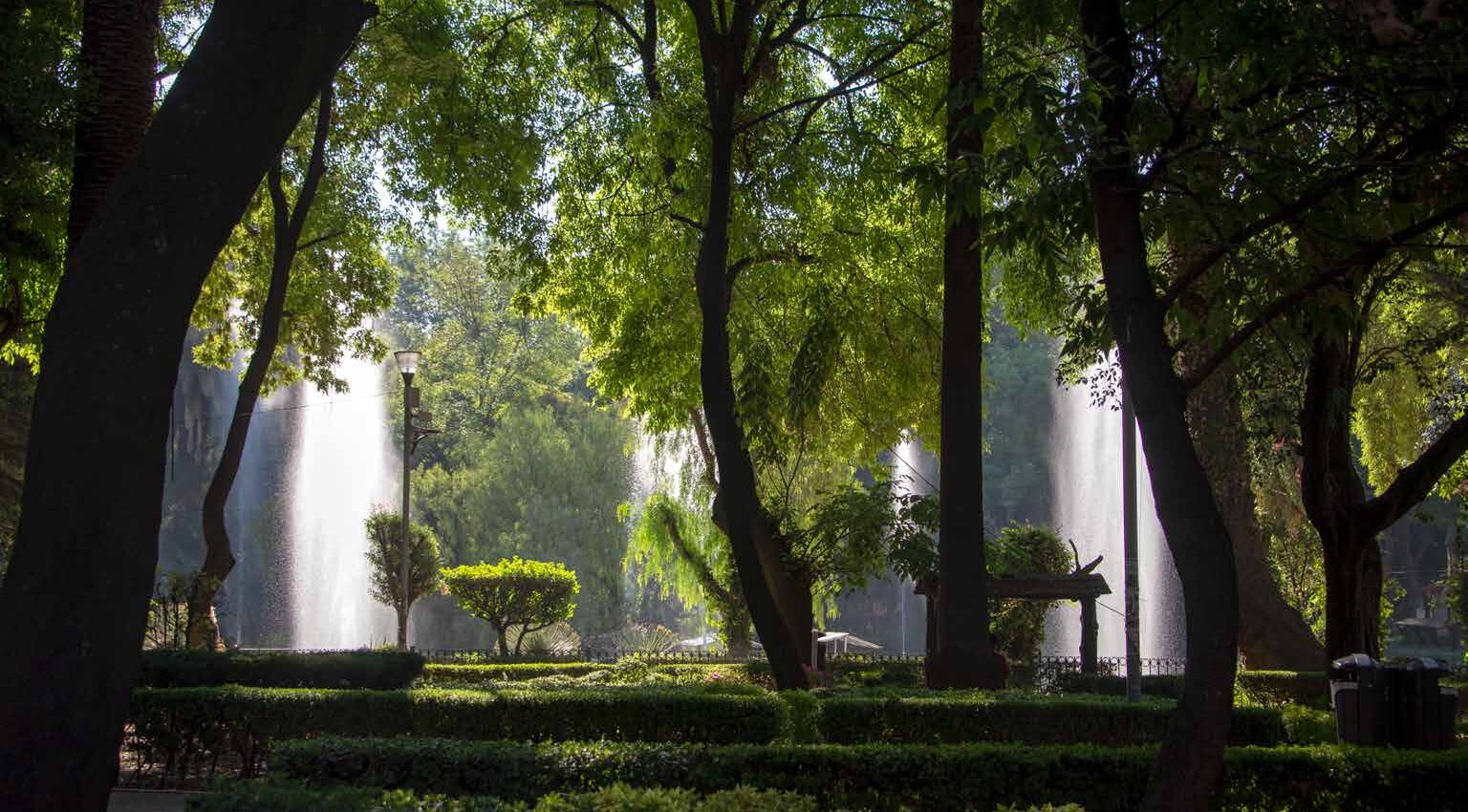A park with a lot of greenery near Pendry Residence Mexico City.