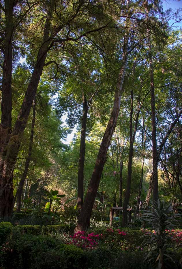 Parque México